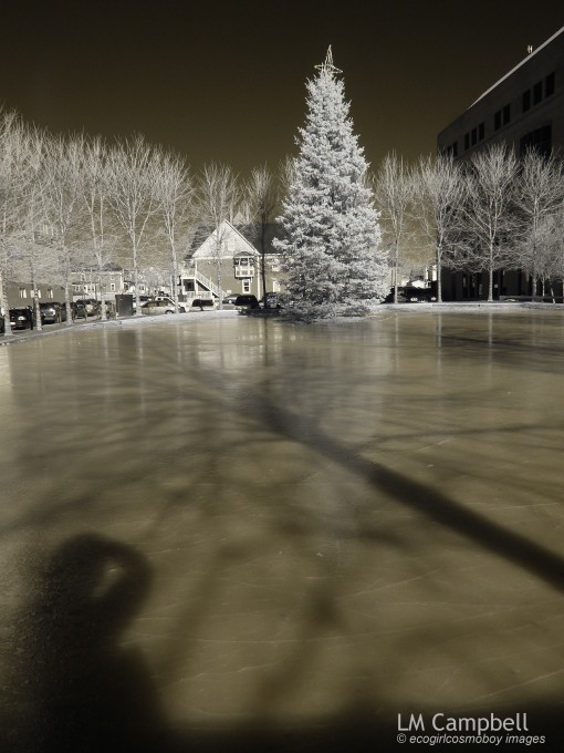 Own & tree shadows & reflections  on skating rink