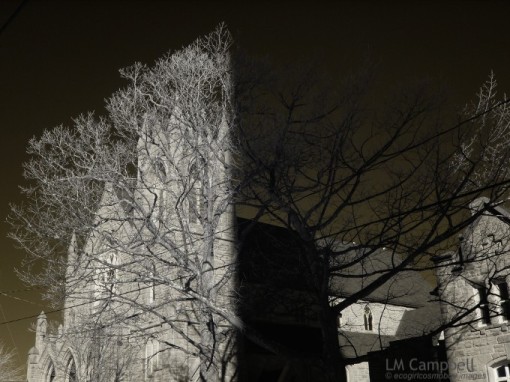 Moncton Church & Tree shadowed by radio tower